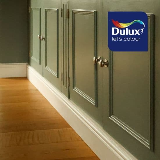 Dulux Primer/Undercoat
