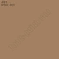 Dulux Soft Sheen Spiced Honey Palette #1