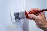 Hamilton Perfection CleanEdge Flat Brush