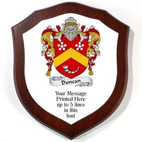 Coat of Arms Shield Family Crest 7 inch Plaque PERSONALISED, ref FCLP