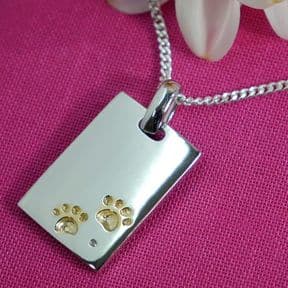 Pawprints Pet Memorial Pendant Personalised ref. PPDT