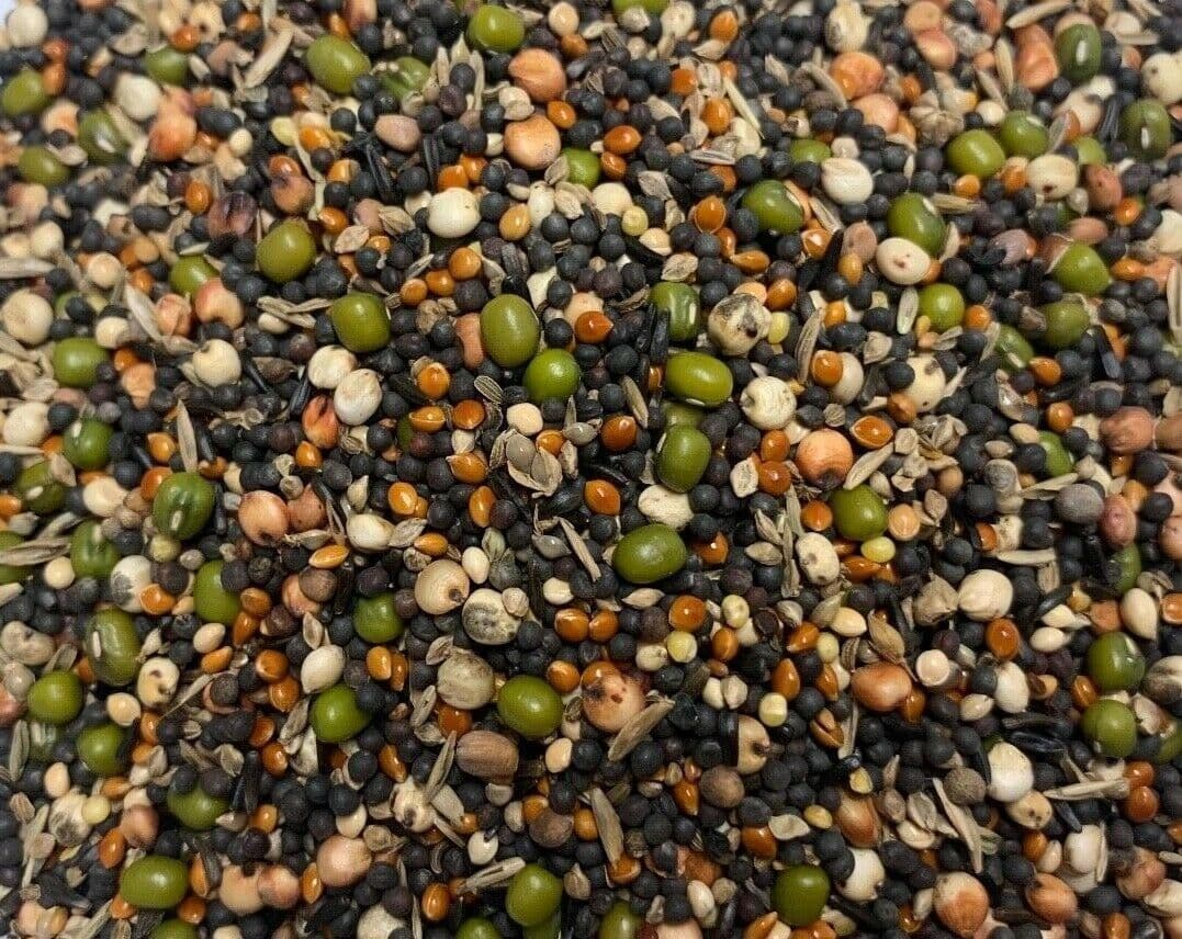 AW BIRDS SOAK / GERMINATING SEED