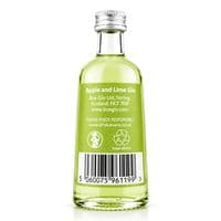 Boe | Apple & Lime | Gin | 41.5% | 5cl | Buy Online Now!