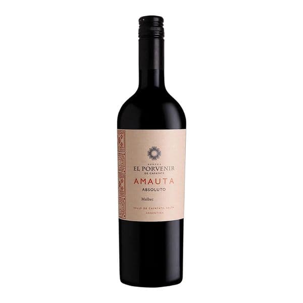 El Porvenir Amauta Cab Franc Malbec 2021 75cl | Buy Online Now!