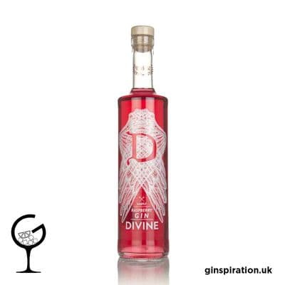 Gin Divine Raspberry 70cl