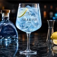 Sharish | 2 x | Copa Balloon | Gin Glasses | 600ml | Buy Now Online!