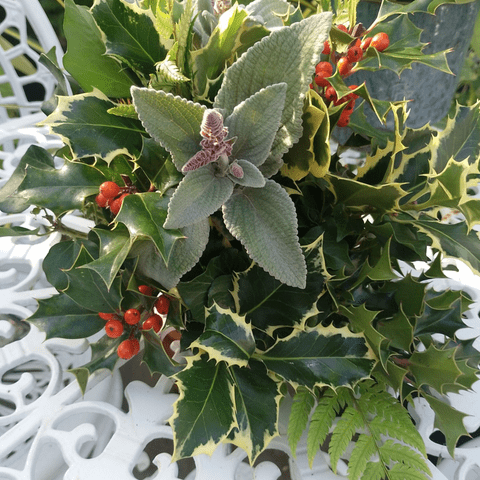 14.12.25 - Christmas Centrepiece Workshop