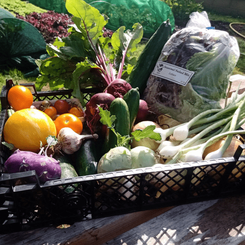 Homegrown Seasonal Box