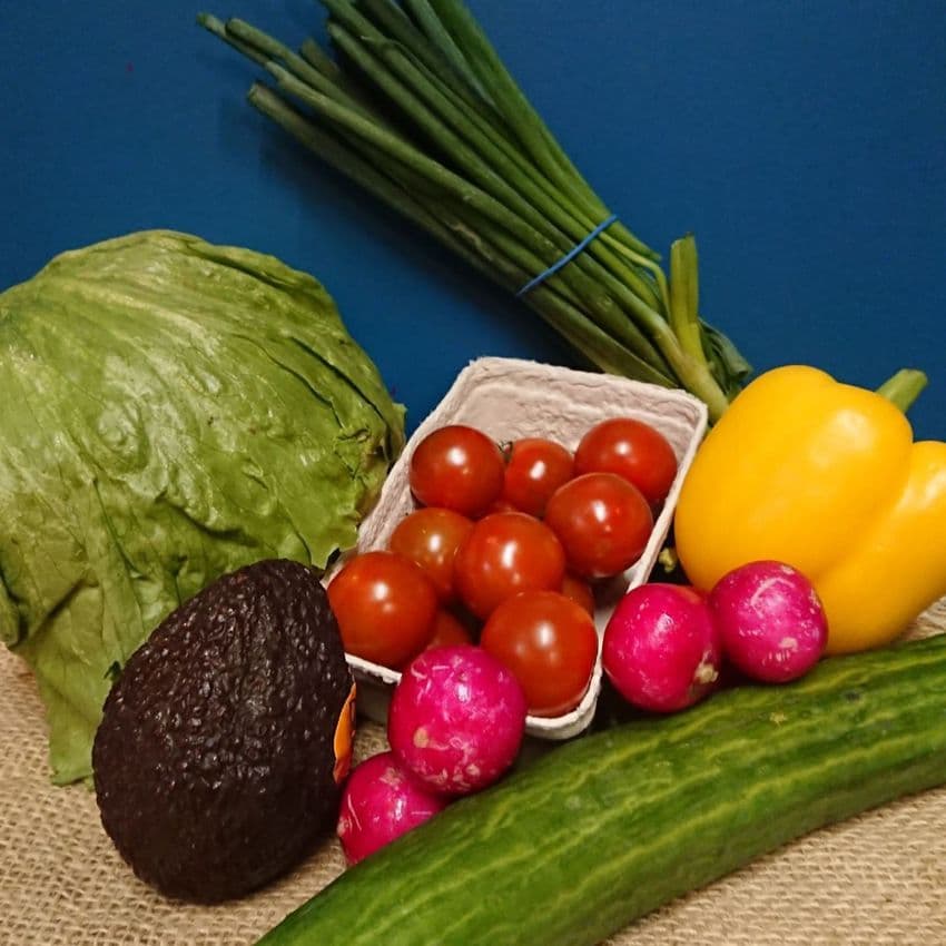 Salad Box