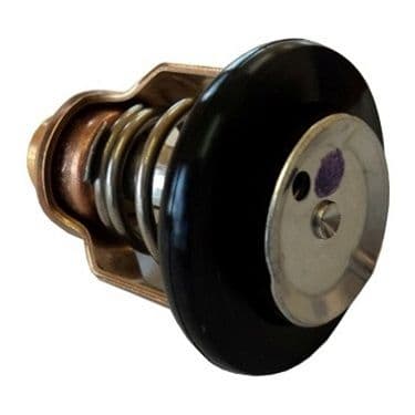 Yamaha 6CE-12411-00 Thermostat