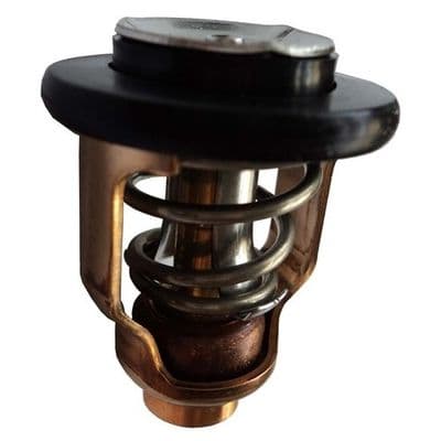 Yamaha 6D9-12411-00 Thermostat