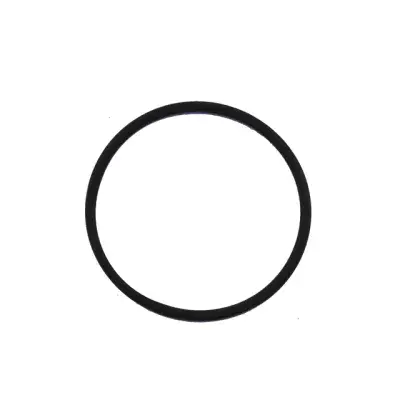 Yamaha 6P3-24564-00 Fuel Filter O-Ring