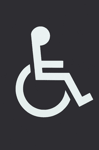 AR607D-E Disabled Nylon Door Sign - Traffic Black - 8507959