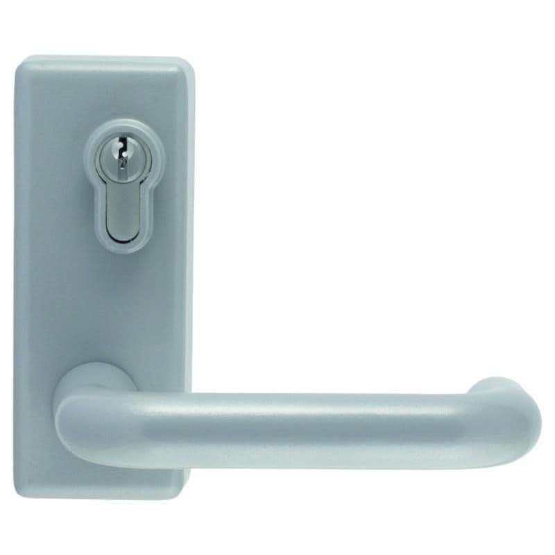 Arrone Outside Access Device - Lever Handle - Silver - AR885L with High ...