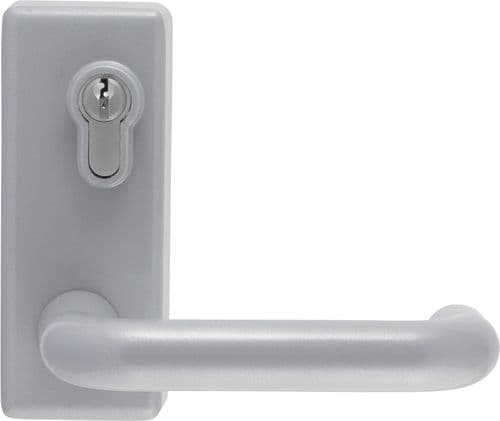 Arrone Outside Access Device - Lever - Silver - AR885L - 50015606