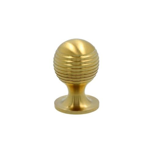 CLEARANCE SALE Alexander and Wilks - Caesar Cupboard Knob on Round Rose - Satin Brass PVD - 25mm