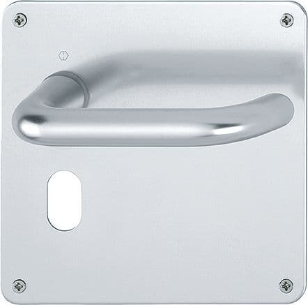 Hoppe Paris 138/304L - Oval Profile - Sprung - 2656290