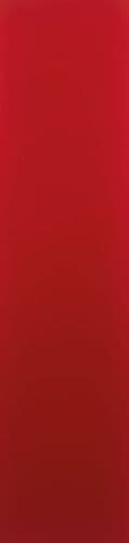 Hoppe Paris Coloured Nylon Self Adhesive Finger Plate - 75 x 350mm - Red (Rouge) RAL-3003