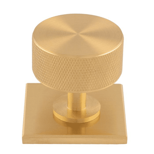 Knurled Radio Knob on Backplate - BP703SB40SB