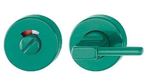 RAL F6016 Disabled Bathroom Turn & Release 2260762 - Turquoise Green