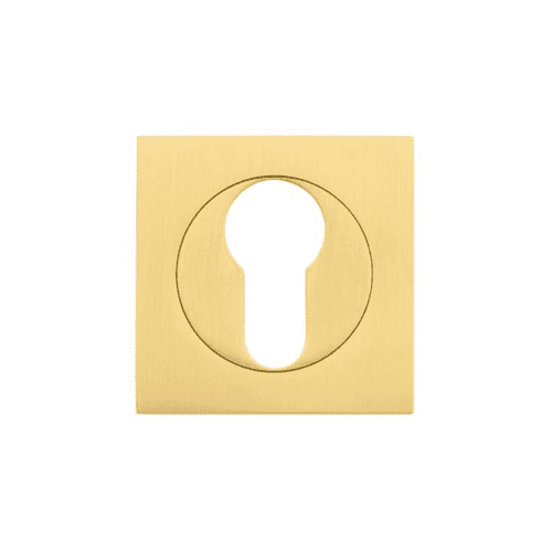 Zoo Square Euro Profile Escutcheon - ZPZSQ001-FSB - Favo Satin Brass