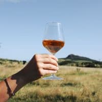 Arcos Unbreakable Tritan Plastic Wine Glass 330ml