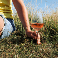 Arcos Unbreakable Tritan Plastic Wine Glass 330ml