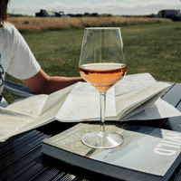 Arcos Unbreakable Tritan Plastic Wine Glass 330ml