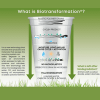 Biodegradable Carbon Neutral Verigreen Plus Pint-to-rim 568ml (sleeve of 50)