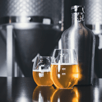 Brewhouse Half-Pint Unbreakable Tritan Plastic Beer Glass – CE Lined 1/3 & 1/2 Pint - 390ml/14oz