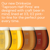 Brewhouse Half-Pint Unbreakable Tritan Plastic Beer Glass – CE Lined 1/3 & 1/2 Pint - 390ml/14oz