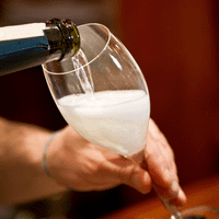 Bria Unbreakable Tritan Plastic Large Champagne Flute 260ml