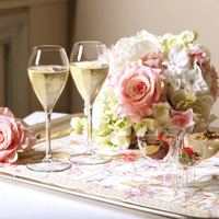 Bria Unbreakable Tritan Plastic Large Champagne Flute 260ml