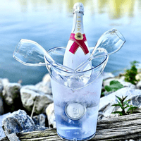 Bria Unbreakable Tritan Plastic Large Champagne Flute 260ml