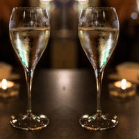 Bria Unbreakable Tritan Plastic Large Champagne Flute 260ml