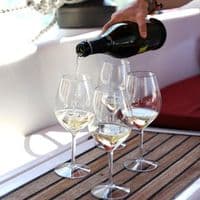 Brunello Unbreakable Tritan BPA Free Spritzer Glass 510ml