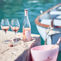 Brunello Unbreakable Tritan BPA Free Spritzer Glass 510ml