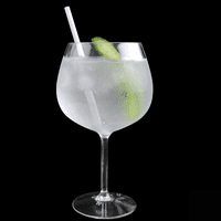 Casa Unbreakable Tritan Plastic Copa Gin Balloon Glass 860ml