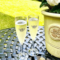 Classic Unbreakable Polycarbonate Plastic Champagne Flute 185ml