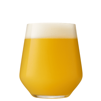 Craft Beer Unbreakable Tritan Plastic Tasting Glass – 390ml / 14oz