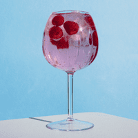 Fluted Unbreakable Tritan BPA free Gin Glass 600ml