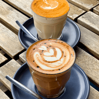 Gordini Unbreakable Polycarbonate Classic Plastic Tumbler 270ml