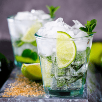 Gordini Unbreakable Polycarbonate Classic Plastic Tumbler 270ml