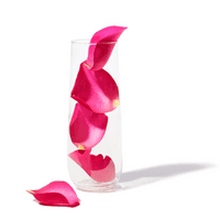 Govino Tritan Plastic Stemless Champagne Flute Gift Set of 4 (9oz/320ml)