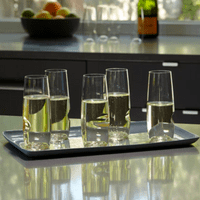 Govino Tritan Plastic Stemless Champagne Flute Gift Set of 4 (9oz/320ml)