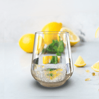 Hugo Spritz Unbreakable Tritan Stemless Glass 390ml