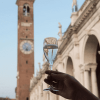 Inexpensive Virtually Unbreakable Plastic Champagne Flute 150ml