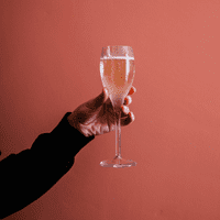 Inexpensive Virtually Unbreakable Plastic Champagne Flute 150ml