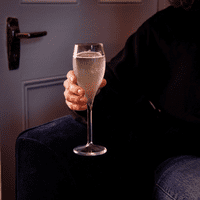 Inexpensive Virtually Unbreakable Plastic Champagne Flute 150ml