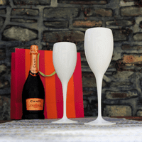 Nara Unbreakable Polycarbonate Plastic Champagne Flute White 180ml